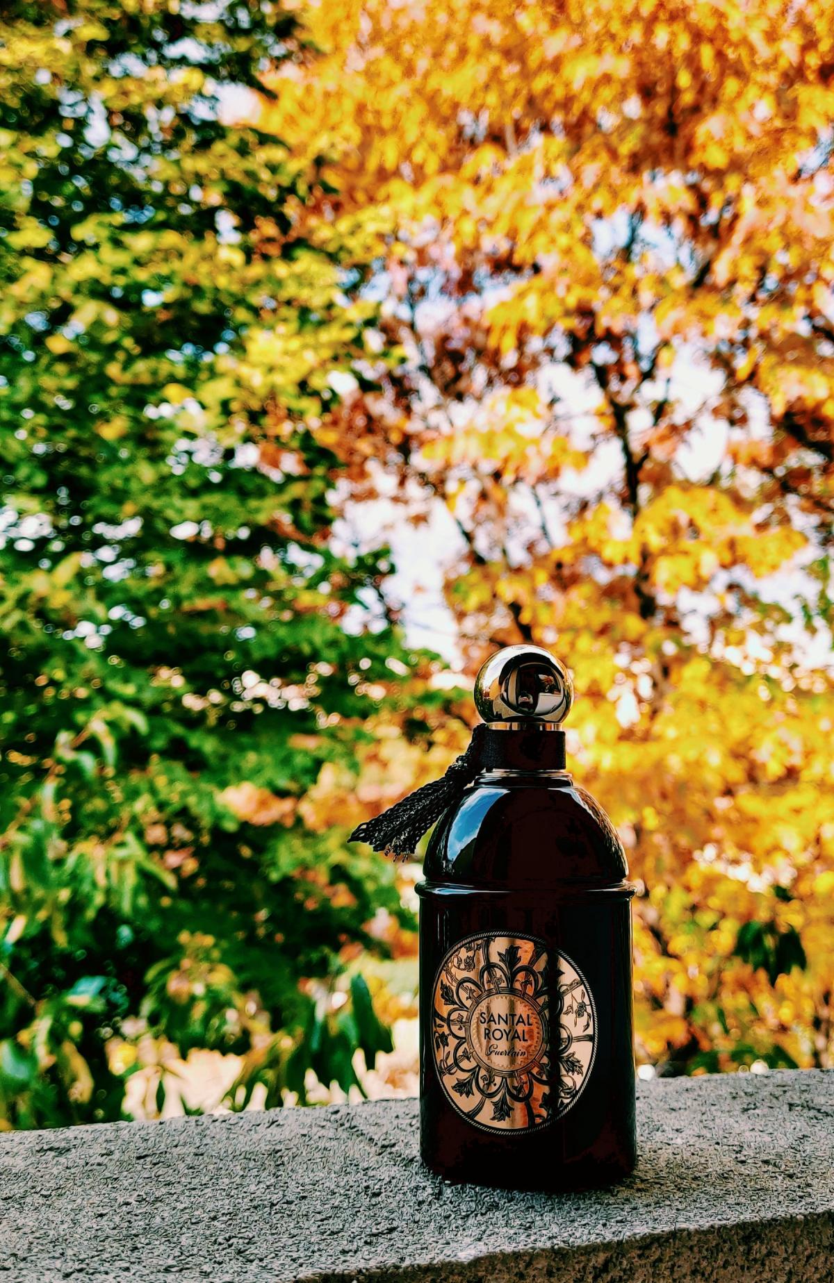 Santal Royal by Guerlain Eau De Parfum Spray