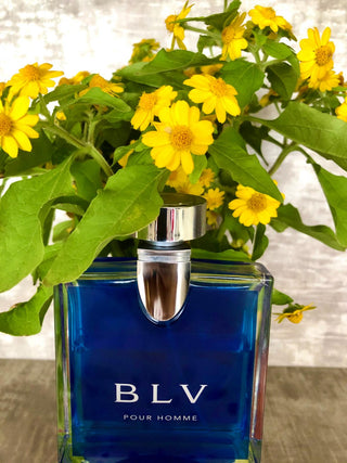 Bvlgari Blv by Bvlgari Eau De Toilette Spray