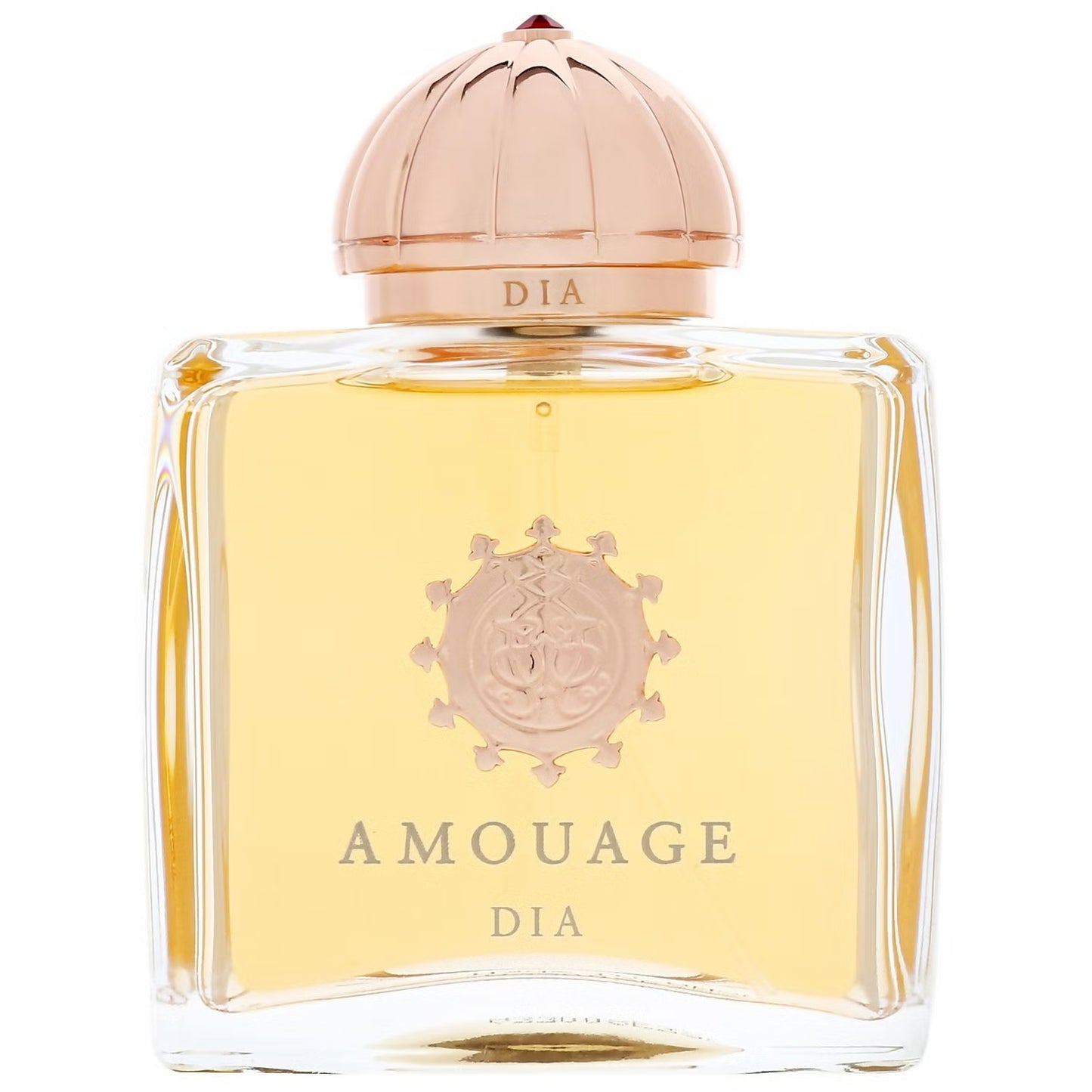 Amouage Dia by Amouage Eau De Parfum Spray