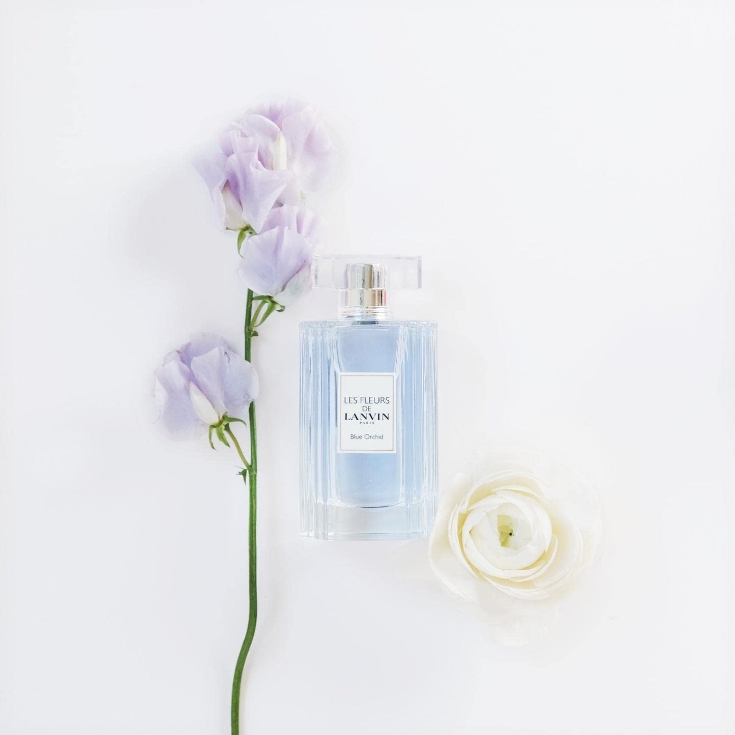 Les Fleurs De Lanvin Blue Orchid by Lanvin Eau De Toilette Spray