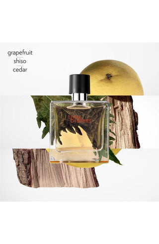 Terre D'hermes by Hermes Pure Perfume Spray