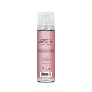 ABSOLUTE Prolong Setting Spray