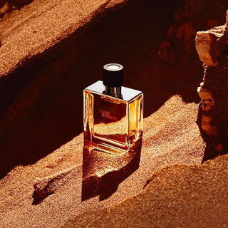 Terre D'hermes by Hermes Pure Pefume Spray