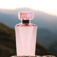 Animale Seduction Femme by Animale Eau De Parfum Spray