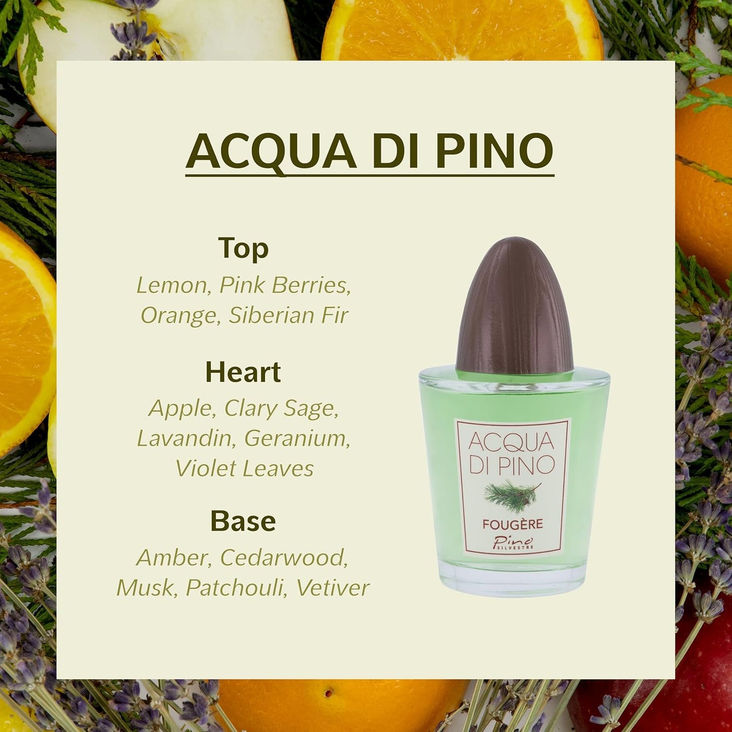 Acqua Di Pino Fougere by Pino Silvestre Eau De Toilette Spray