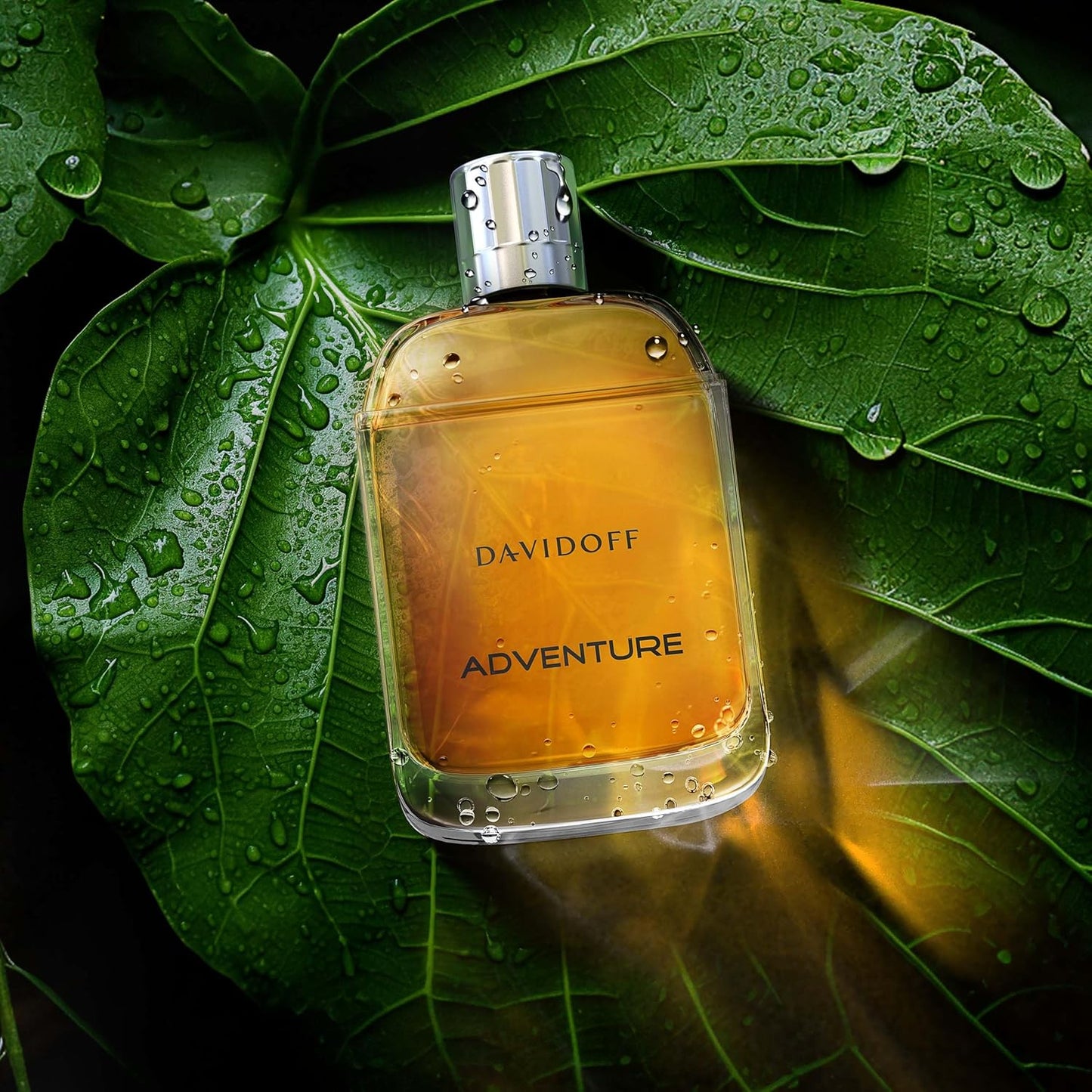 Davidoff Adventure by Davidoff Eau De Toilette Spray