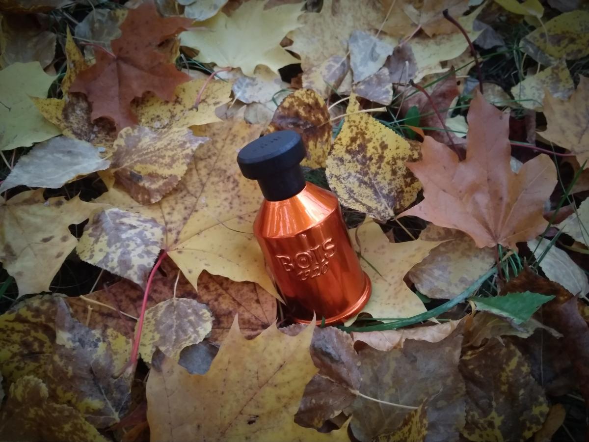 Vento Nel Vento by Bois 1920 Eau De Parfum Spray