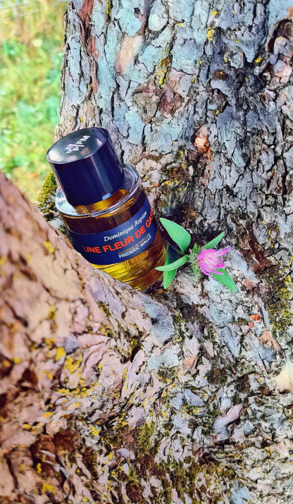 Vetiver Extraordinaire by Frederic Malle Eau De Parfum Spray