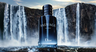 Sauvage by Christian Dior Eau De Parfum Spray