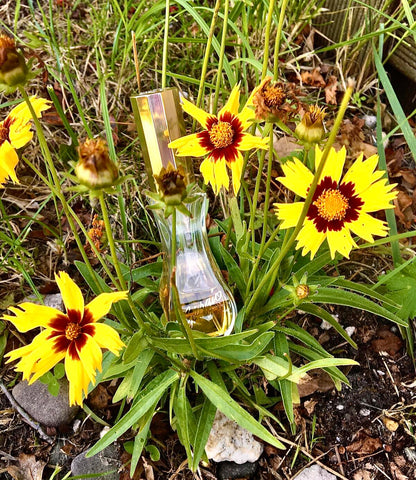 Giorgio by Giorgio Beverly Hills Eau De Toilette Spray