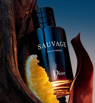 Sauvage by Christian Dior Eau De Parfum Spray