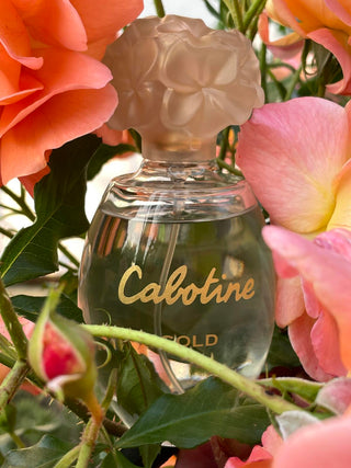 Cabotine Gold by Parfums Gres Eau De Toilette Spray