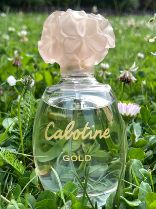 Cabotine Gold by Parfums Gres Eau De Toilette Spray