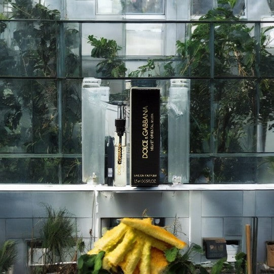 Dolce & Gabbana Velvet Oriental Musk by Dolce & Gabbana Vial (sample)