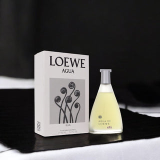 Agua De Loewe Ella by Loewe Eau De Toilette Spray 5.1 oz