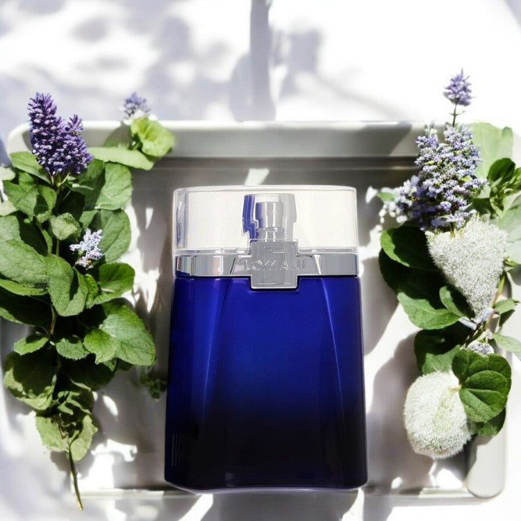 Lomani Blue Sky by Lomani Eau De Toilette Spray