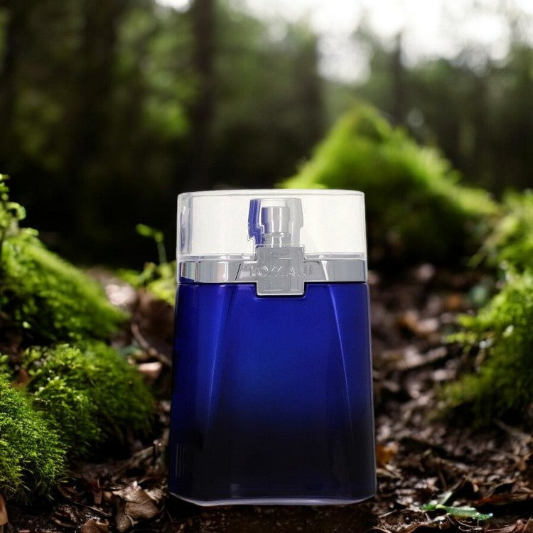 Lomani Blue Sky by Lomani Eau De Toilette Spray