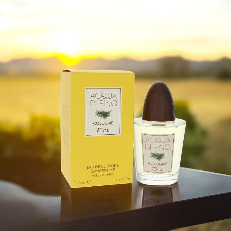 Acqua Di Pino by Pino Silvestre Eau De Cologne Concentree Spray