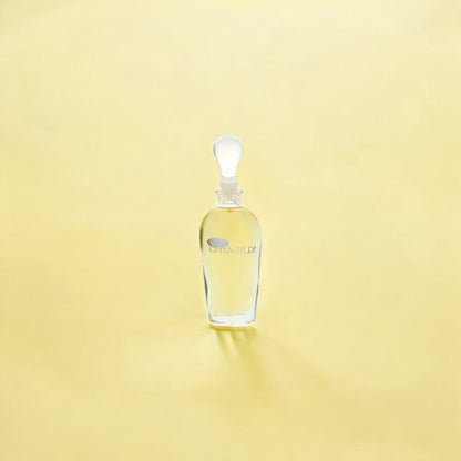 White Chantilly by Dana Mini Perfume