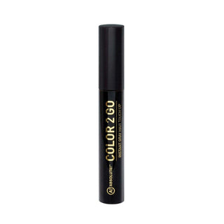 ABSOLUTE Color 2 Go Hair Mascara