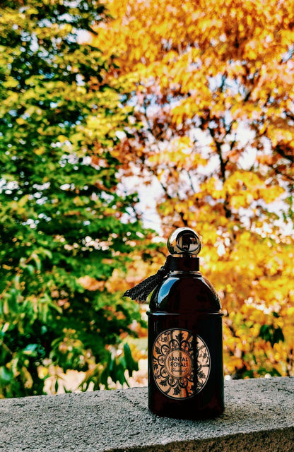 Santal Royal by Guerlain Eau De Parfum Spray