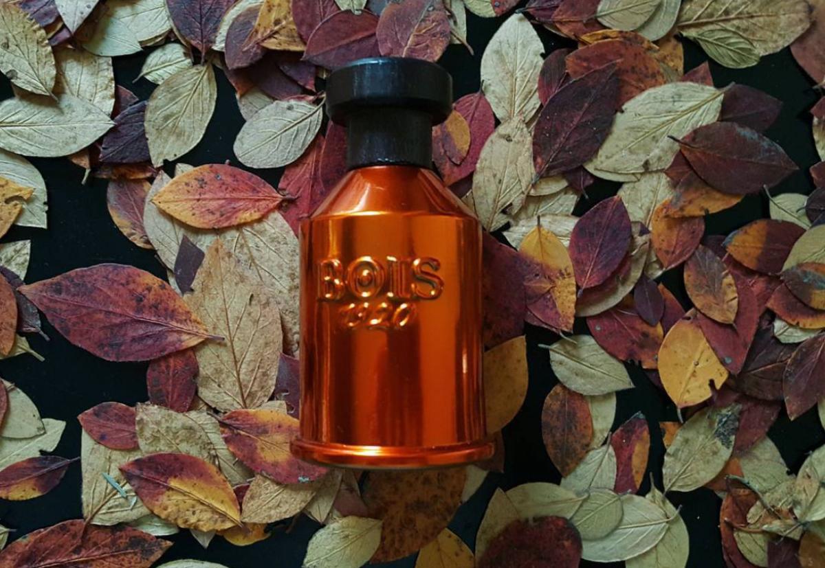 Vento Nel Vento by Bois 1920 Eau De Parfum Spray