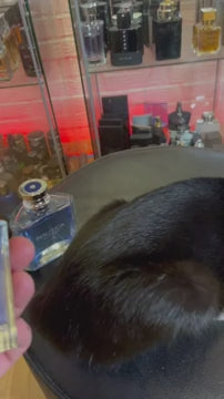 Nautica Voyage N-83 by Nautica Eau De Toilette Spray