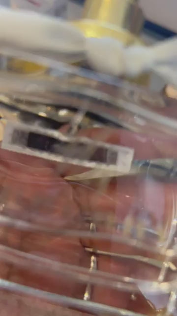 My Burberry Blush by Burberry Eau De Parfum Spray