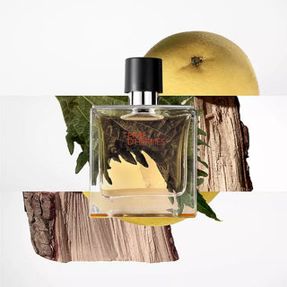 Terre D'hermes by Hermes Pure Pefume Spray