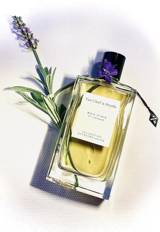 Bois D'iris Van Cleef & Arpels by Van Cleef & Arpels Eau De Parfum Spray